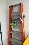 ULINE STORAGE RACK + LADDER