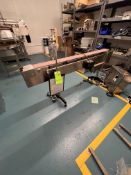 2016 NJM CLI STRAIGHT CONVEYOR SECTION, MODEL CONVDO6-SO16, S/N 12030-07, APPROX. 4-1/2 IN. X 69 IN.