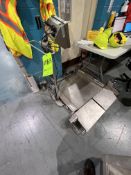 METTLER TOLEDO S/S SCALE WITH DIGITAL READOUT, MODEL IND246, S/N C204443365, 100-240 VAC, 50/60 HZ