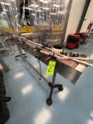 APPROX. 7 FT 6 IN. L STRAIGHT CONVEYOR SECTION, INCLUDES DRIVES AND VARIABLE SPEED CONTROLLERS