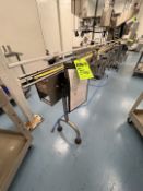 STRAIGHT CONVEYOR SECTION 4 IN. W MAT TOP WITH S/S FRAME, APPROX. 190 IN. L, INCLUDES KB GENESIS