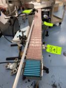 STRAIGHT CONVEYOR SECTION, APPROX. 60 IN. L X 4-1/2 IN. W