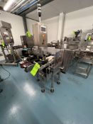 2018 ALPHA CHECK WEIGHER, MODEL HP-14, S/N 00242, BOTTOMLESS GRIPPING INFEED CONVEYOR, REJECT