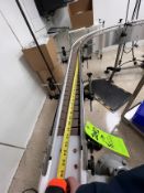 APACK APPROX. 4 IN. W X 200 IN. L CONVEYOR FROM OUTFEED OF METAL DETECTOR TO PILLAR INDUCTION