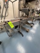 STRAIGHT SECTION OF 4-1/2 IN. MAT TOP CONVEYOR, APPROX. 114 IN. L, INCLUDES JDA DRIVE VARIABLE SPEED