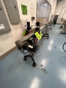 STRAIGHT 15 FT SECTION OF CONVEYOR, INCLUDES DRIVES AND VARIABLE SPEED CONTROLLERS, DOES NOT INCLUDE