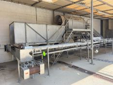 S/S Snip Tumbler, with Infeed & Outfeed Conveyor, with S/S Platform, with Additional Straight