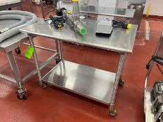 S/S Table, with S/S Bottom Shelf, Overall Dims.: Aprox. 48