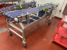 Straight Section of Conveyor, with Aprox. 13-3/4