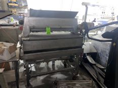 S/S Salter, with S/S Infeed Funnel, with Motor, Mounted on S/S Frame (LOCATED IN HILLSIDE, N.J.)