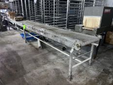 Straight Section of S/S Mesh Conveyor, with Aprox. 24