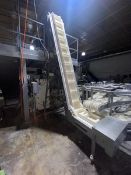 Arty Pac S/S Incline Z-Convyeor Infeed, Model Z, S/N 8300714, Overall Dims.: Aprox. 90