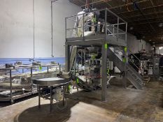 BULK BID: VFFS & SCALE SYSTEM, INCLUDES LOTS 24-31; Here is a Video of System: https://youtu.be/