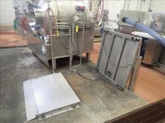 Rice Lake Floor Scale, Model 420 Plus-2A, Stainless Steel, Nmax 10000, 48 in. x 48 in. Platform with