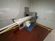 S/S Metal Detector, with Aprox. 2ft. W x 8” H, with Aprox. 22” W Plastic Belt (LOCATED IN MANTECA,