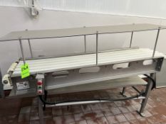 Straight Section of S/S Conveyor, with Plexi-Glass Ceiling, Slight Incline, Mounted on S/S Legs (NOT