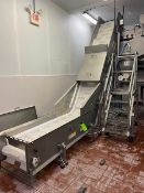 Marchant & Schmidt S/S Incline Conveyor with Flights, I.D. No. 6886-011, Aprox. 6” Spacing on