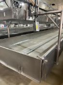 Damrow S/S Finishing Table, Internal Dims.: Aprox. 50 ft. L x 6 ft. W x 1 ft. Deep, Mounted on