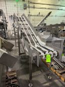 STAINLESS STEEL INCLINE CONVEYOR WITH DRIVE (MISSING BELT)