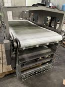 STRAIGHT SECTION OF PRODUCT CONVEYOR WITH 24 IN W PLASTIC BELT INCLUDES S/S HOOD AND FRAME