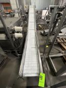 S/S INCLINE CONVEYOR WITH PLASTIC BELT 12 IN WIDE