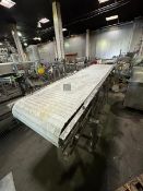 STRAIGHT SECTION CONVEYOR WITH DRIVE 30 IN W BELT