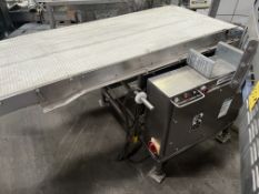 ONE SECTION OF S/S CONVEYOR WITH PLASTIC BELT 24 IN WIDE