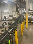 Overhead Case Conveyor, with Aprox. 18” W Rubber Conveyor Belt, with 1-Incline Section from Case