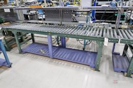 Roller Conveyor w/ Custom Shelf