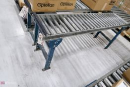 Rolling Conveyor 6'6