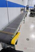 Hytrol Belt Conveyor 46' L X 16