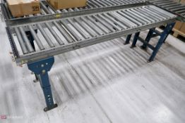 Rolling Conveyor 6'6