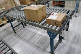 Rolling Conveyor 6'6