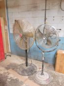 (2) Pedestal Fans