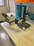 Bausch & Lomb Stereo Zoom Microscope