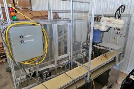 Denso Robot Cell
