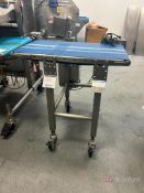 Quantum QC20 Belt Conveyor