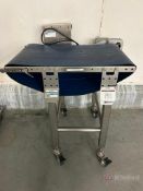 Quantum QC20 Belt Conveyor