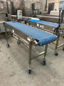 Belt Conveyor