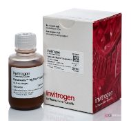 Lot of (79) Invitrogen Dynabeads MyOne Streptavidin T1, 50mL (65604D)
