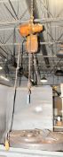 Harrington 1/2-Ton Electric Hoist