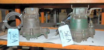 Lot-(2) Sump Pumps on (1) Shelf