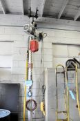Roughneck 1-Ton Capacity Electric Hoist with Trolly, (Beam Not Included)