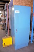 Lot-(1) Large Industrial Storage Cabinet