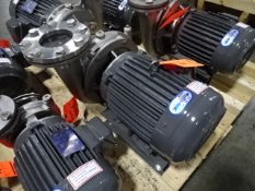 Teco Transfer Pump