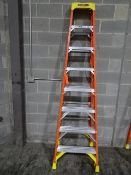 Werner Ladder