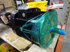 Grundfos Immersible Pump