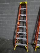 Werner Ladder