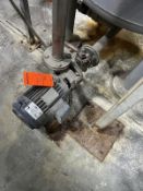 Transfer Pump