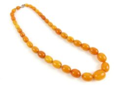 A row of graduated oval butterscotch amber beads,